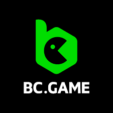 كل ما تحتاج لمعرفته حول BCGame im كل ما تحتاج لمعرفته حول BCGame im